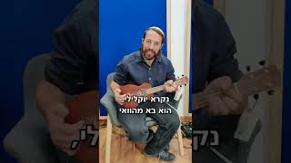 מכירים את היוקלילי?
