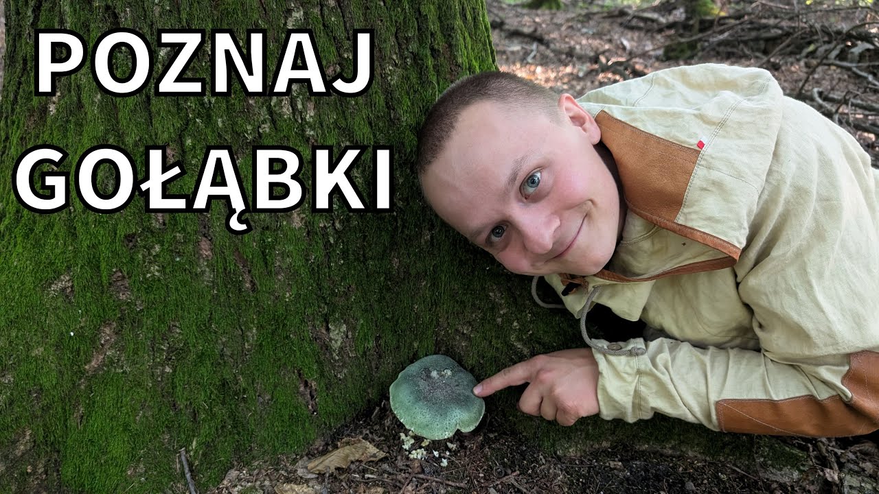 GRZYBY w LATO, których KAŻDY boi się zbierać