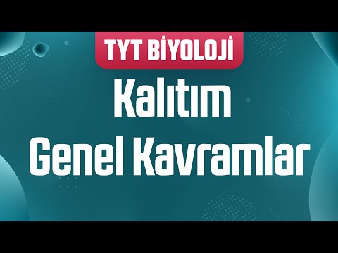 37) Tüm Kavramlarla Kalıtım : Genel Kavramlar