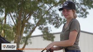 Reedley College: Excellence in Agriculture