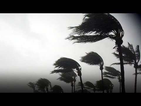 Videó: Elütötte az irma hurrikán?