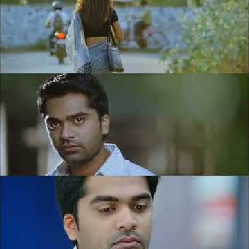 Heart Melting BGM / Painfull Reaction WhatsApp Status/ Vinnaithandi Varuvaya / Simbu / Trisha ARR /