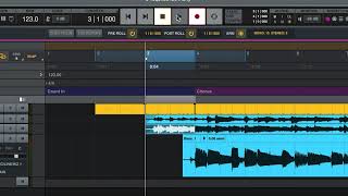 Auto Punch in UAudio Luna