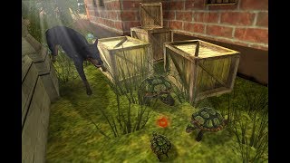 Turtle Simulator: House Life Gameplay Video Android/iOS