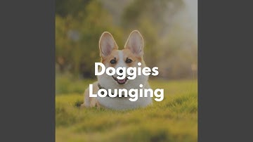 Relaxed Moods for Lazy Hound