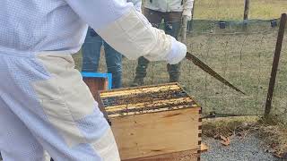 Flow Hive 2 9/3/25