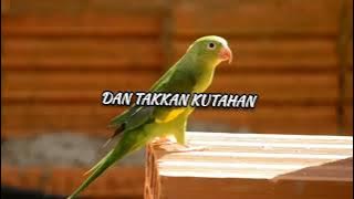 Dik doang pulang karaoke