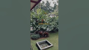 Hujan di kampus tidak menjadi penghalang, justru menjadi penyemangat!