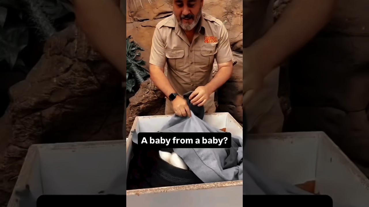 😱 How to change Google account password 