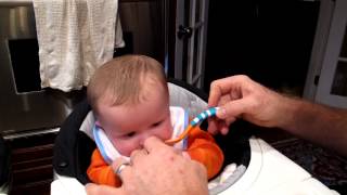 Avetts First Bites Of Solid Food