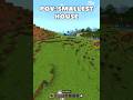 Smallest house Minecraft #minecraft