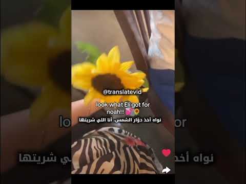 جابت له ورد لان الرجال ما يجيهم ورد إلا إذا ماتوا اكسبلور تحشيش السعودية  تحشي ترند