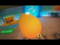 gameplay da stella