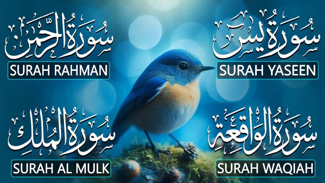 Heart Touching Quran Recitation That Moves The Soul | Surah Yasin Ar-Rahman Al-Waqiah Al-Mulk