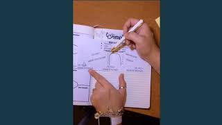 Estimation Notes