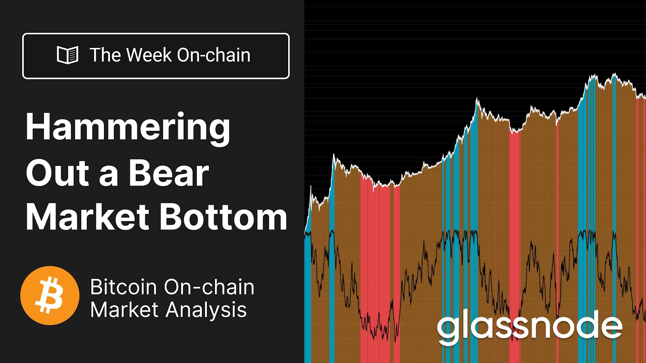 The Week On-chain: Hammering Out a Bear Market Bottom - Week 44, 2022  (Bitcoin Ochain Analysis)