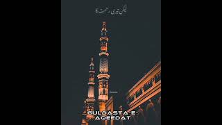 Me Bandae Aasi hu | Islamic Status | Naat | #GuldastaAqeedat