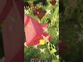 اگه از حرف س استفاده کنم باید اسممو بگم Shorts اگه از حرف س استفاده کنم باید اسممو بگم Shorts