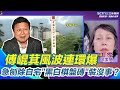 傅崐萁礦稅問題