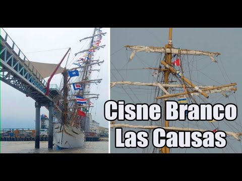 Choque contra el Puente. Cisne Branco las causas, del abordaje (colisiòn).