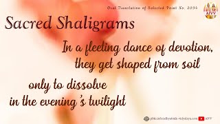 2094 Sacred shaligrams, shaped from soil, dissolve in the evening vcd 1166+537 #aivv