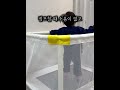 도하맘X로베라 트램폴린