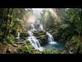 1 Hour Healing Waterfall Sounds for Meditation