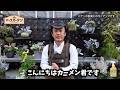 【PR】ロハピ「カーメン君の植物につく病害虫におすすめの対策法」｜アース製薬