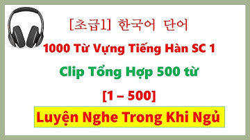 [1- 500] Video Tổng Hợp 1000 Từ Vựng Tiếng Hàn Sơ Cấp 1