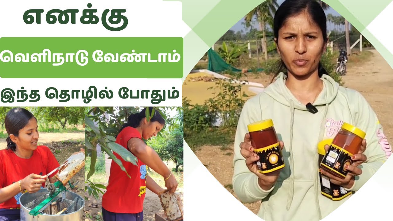 நான் யாருக்கும் அடிமையில்லை  இந்த தொழில் போதும்  /ஈரோட்டை கலக்கும் ராணி தேனீ