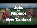 12 most indemand jobs for filipinos in new zealand