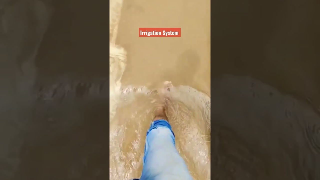 Punjab Irrigation System Aisa hota h 