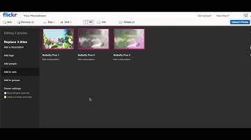Quick Tips for using Flickr (Video 1 of 2)