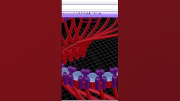 Do you want MONEY, JOB! Learn how to design!!