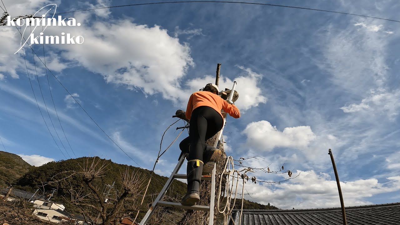 【古民家に住もう