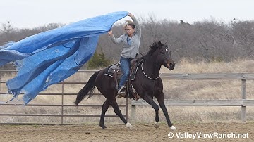 Tippin - bridleless dragging the tarp! - ValleyViewRanch.net