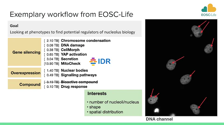 5 1 Analysis of Microscopy Data in Galaxy Beatriz ...