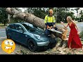 TOTAL IDIOTS AT WORK #9 | Incredible Moments Caught on Camera | Best fail of the week