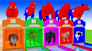 Paint Animals cow lion dinosaur elephant bear checken leopard hippo dog cat  Paint Color #part35