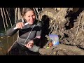 Sacando patas de mula