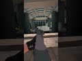 Dude just camping in the room 😂🫣#tacticalassaultvr#shootinggames #virtualreality#gaming#oculus#vr