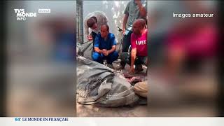 La Ville De Gaza Sous Le Feu Des Bombardements Israéliens