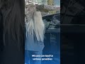 Get Your Handicap Parking Permit Online in Minutes | ParkingMD Review