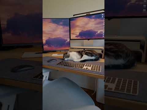 Loving my new monitor LG DualUp, perfect second monitor for video editing!
