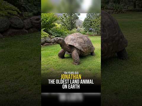 oldest things on earth #duedfacts #vireal