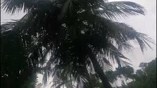 GH010971 ALTA92037065024024