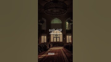 كَلَّا إِذَا بَلَغَتِ التَّرَاقِيَ (26) #سورة_القيامه #quran #اكسبلور #هدوء_النفس