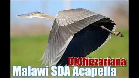 MALAWI SDA CAPELLA MUSIC - DJChizzariana