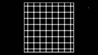 scintillating grid illusion