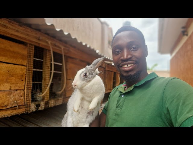 How to easily raise  Rabbits at YOUR HOME! class=